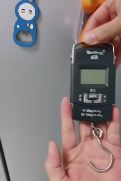 Portable Mini Electronic Weight Scale
